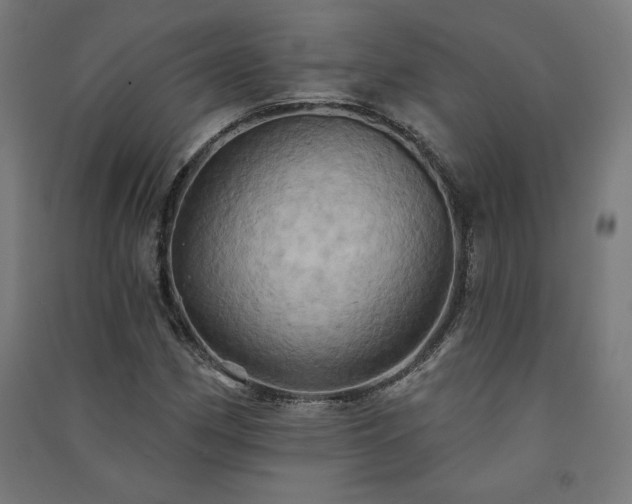 X0000091581162200708201201