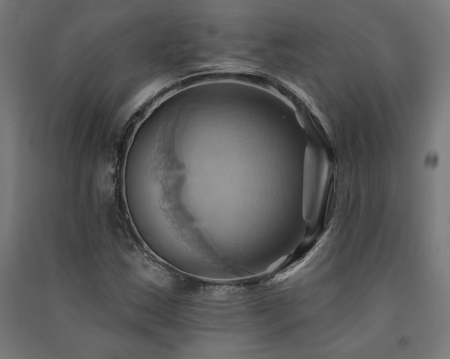 X0000091581163200708201201