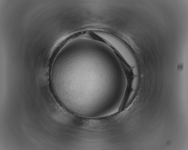 X0000091581164200708201201