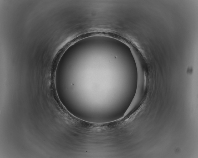 X0000091581165200708201201