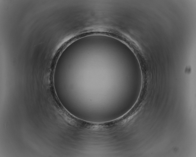 X0000091581166200708201201