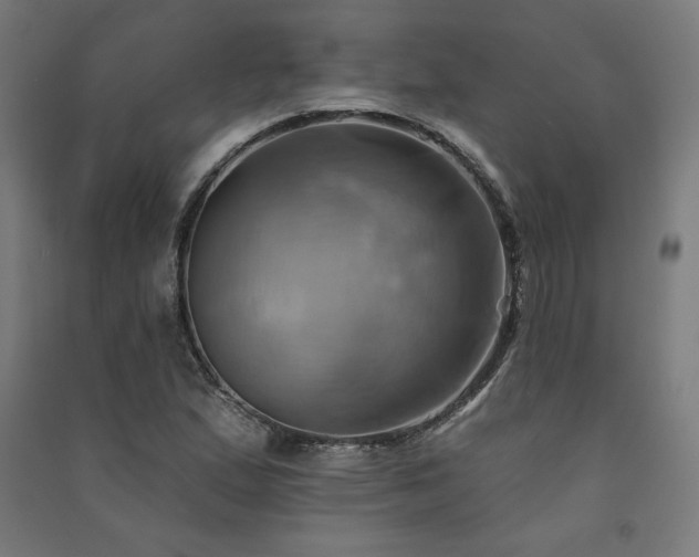 X0000091581167200708201201