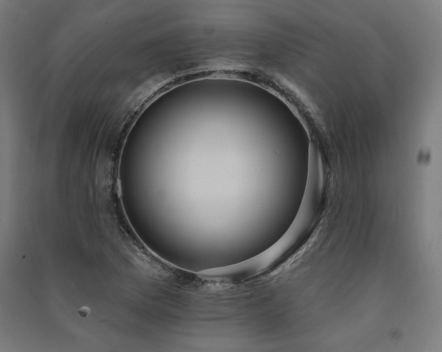 X0000091581169200708201201