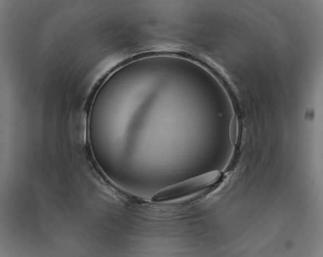 X0000091581171200708201201