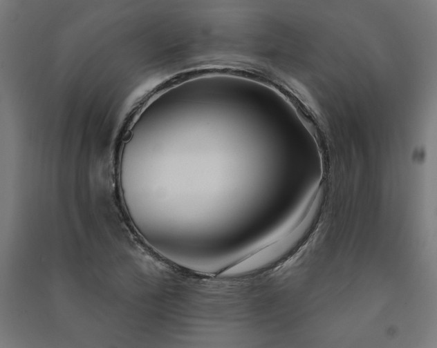X0000091581172200708201201