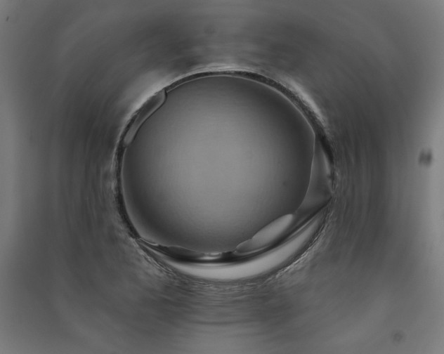 X0000091581173200708201201