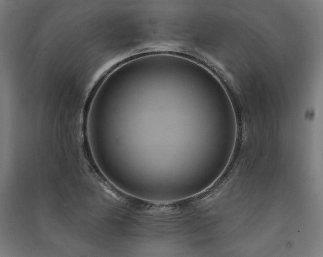 X0000091581174200708201201