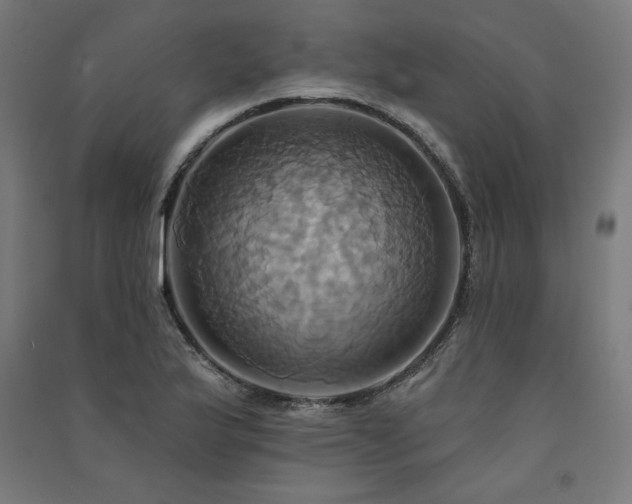 X0000091581175200708201201