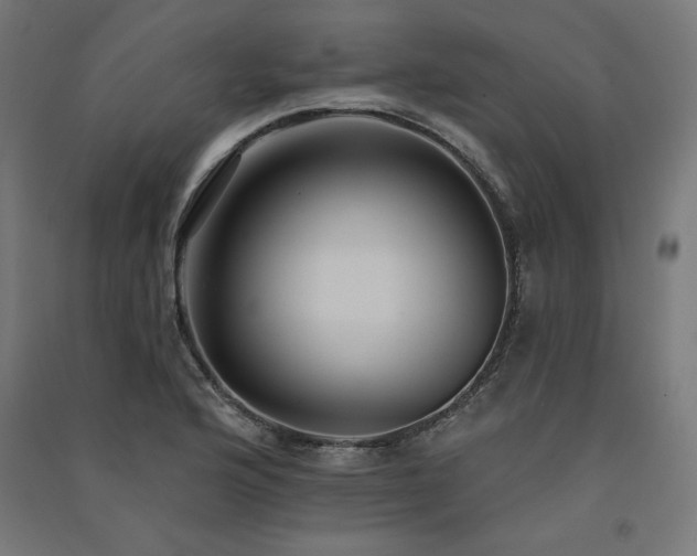 X0000091581176200708201201