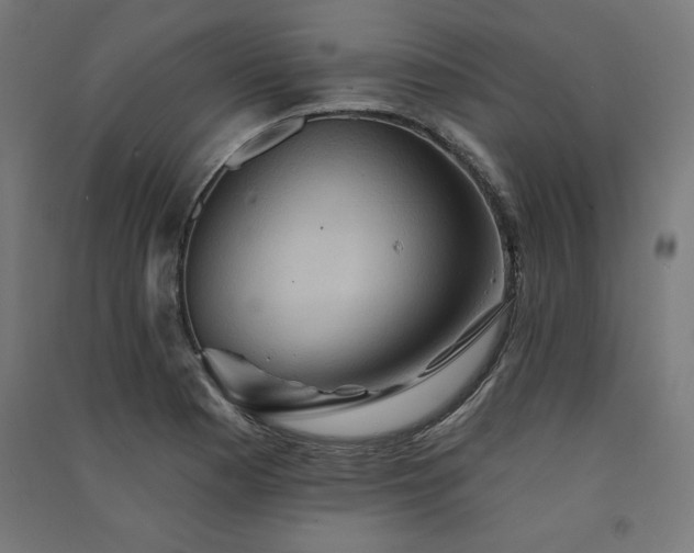 X0000091581177200708201201