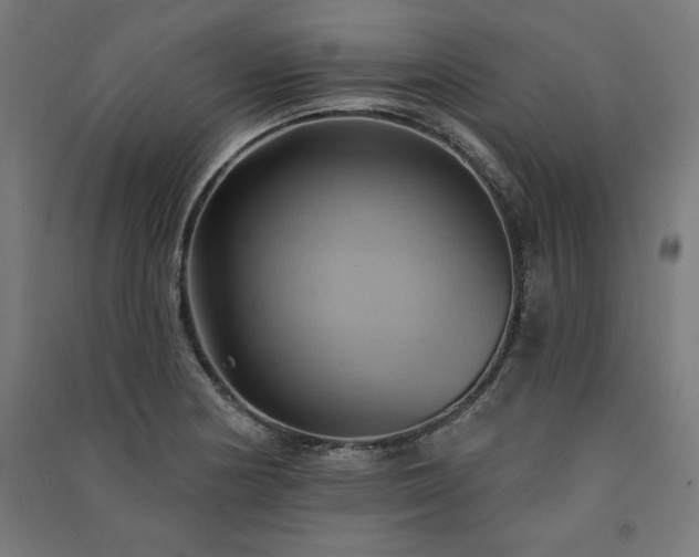 X0000091581178200708201201