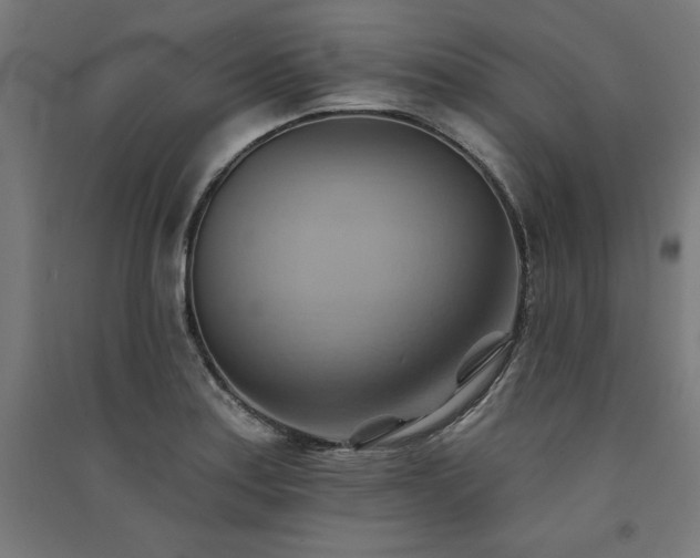 X0000091581179200708201201