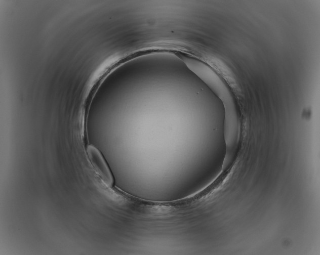X0000091581180200708201201