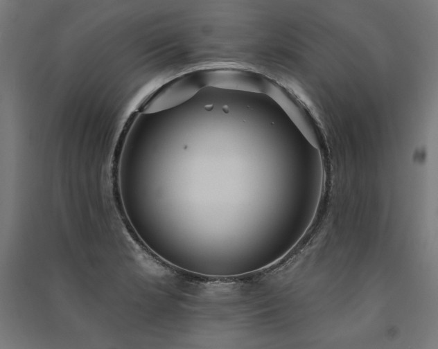 X0000091581181200708201201