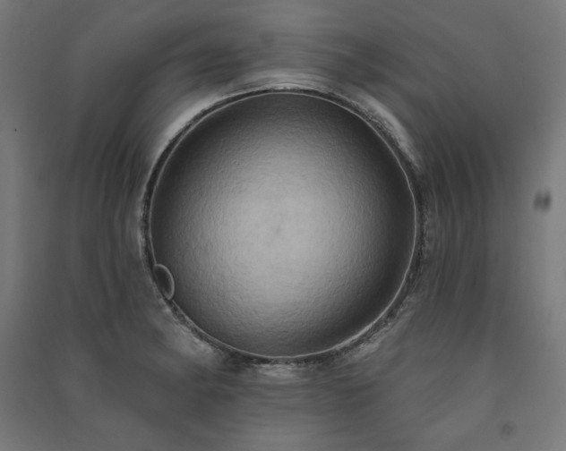 X0000091581182200708201201