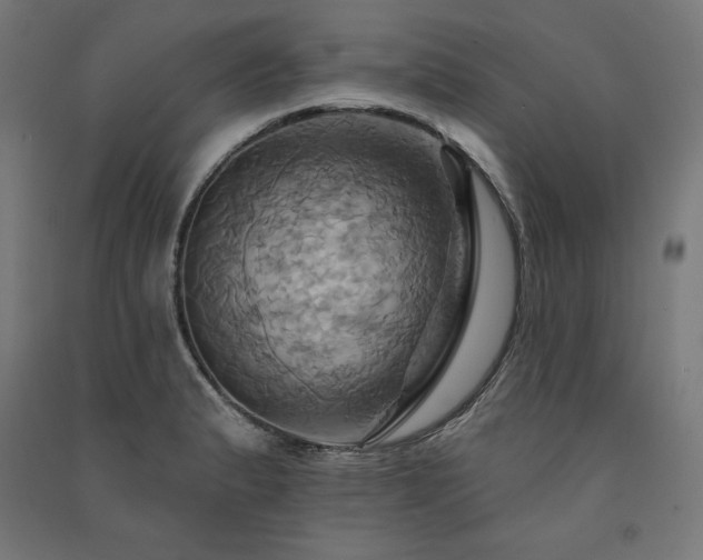 X0000091581183200708201201