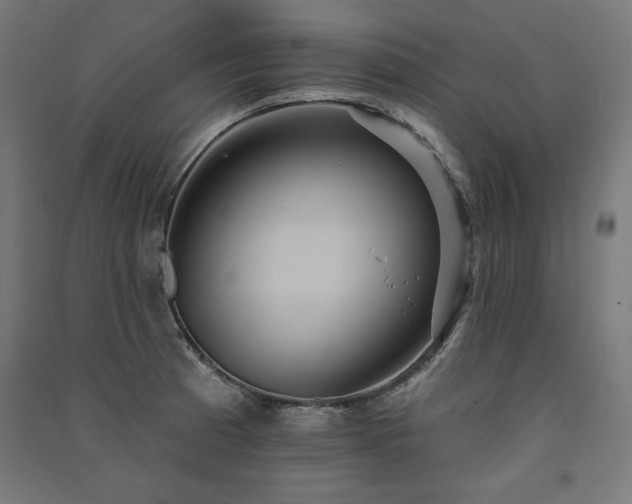 X0000091581185200708201201