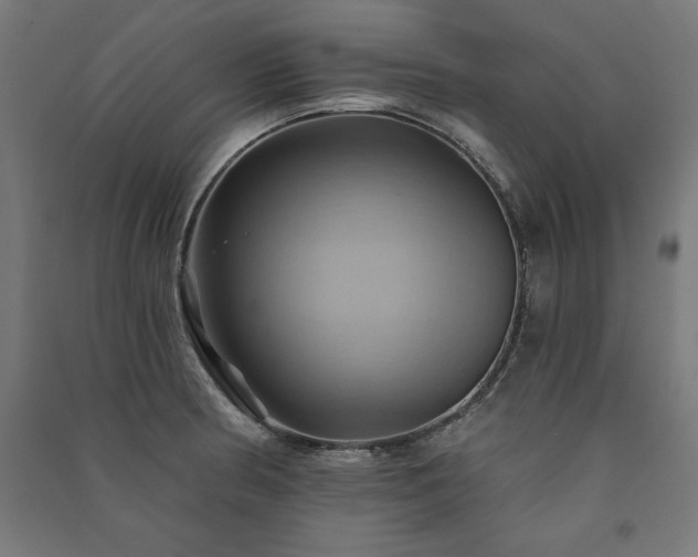 X0000091581186200708201201