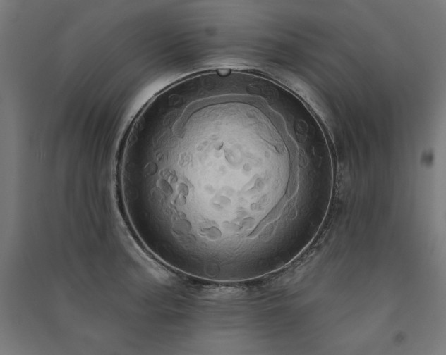 X0000091581187200708201201
