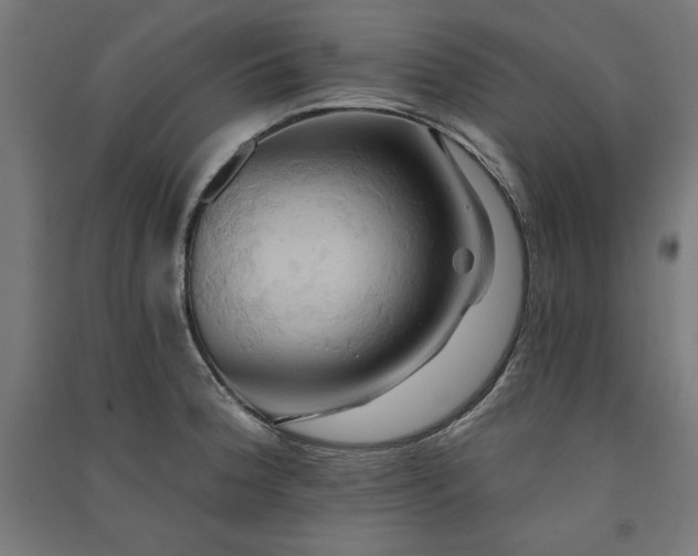 X0000091581188200708201201