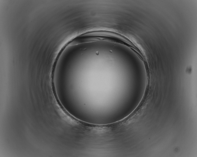X0000091581189200708201201