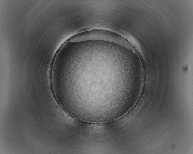 X0000091581190200708201201