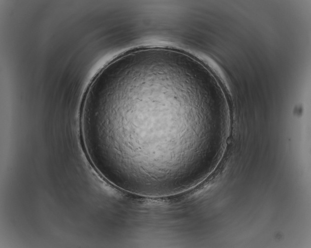 X0000091581191200708201201