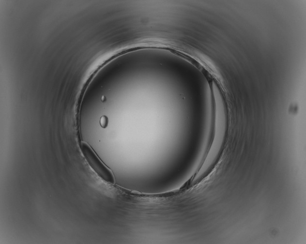 X0000091581192200708201201