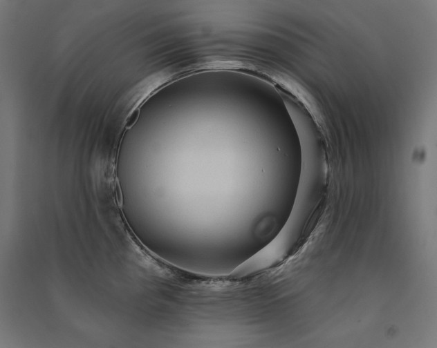X0000091581193200708201201