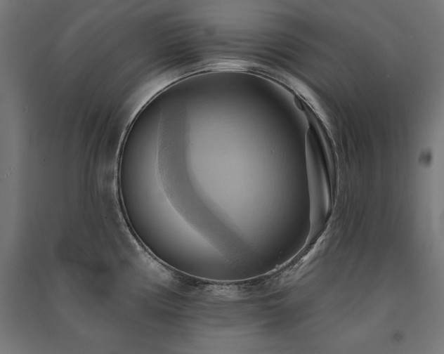 X0000091581194200708201200