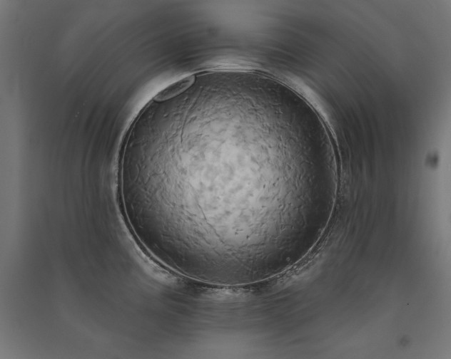 X0000091581195200708201200