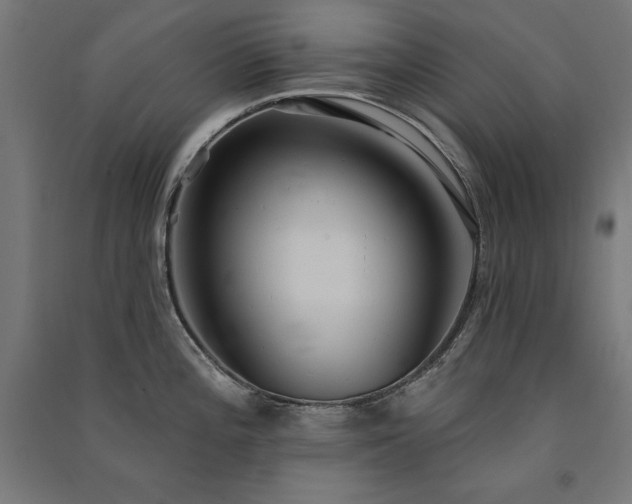 X0000091581196200708201200
