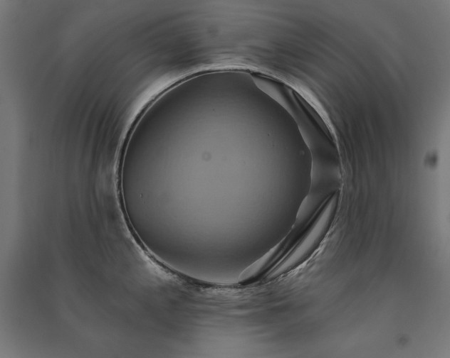 X0000091581197200708201200