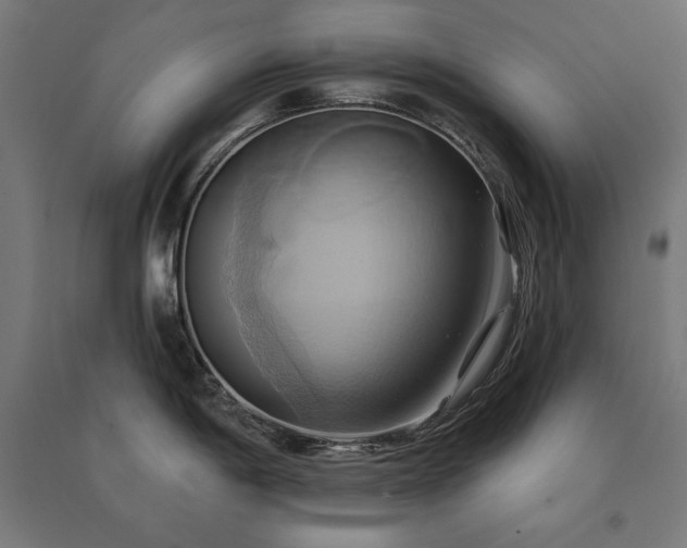 X0000091581198200708201200