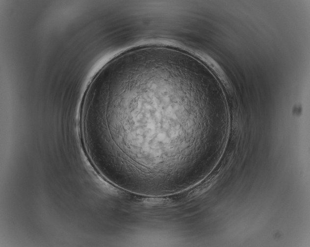 X0000091581199200708201200