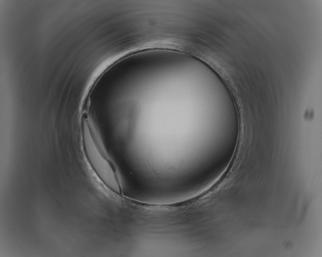 X0000091581200200708201200