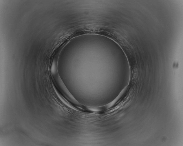 X0000091581202200708201200