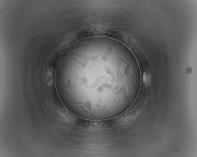 X0000091581203200708201200