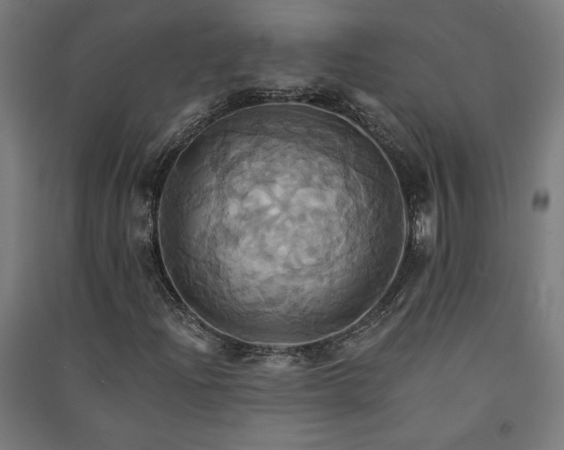 X0000091581204200708201200