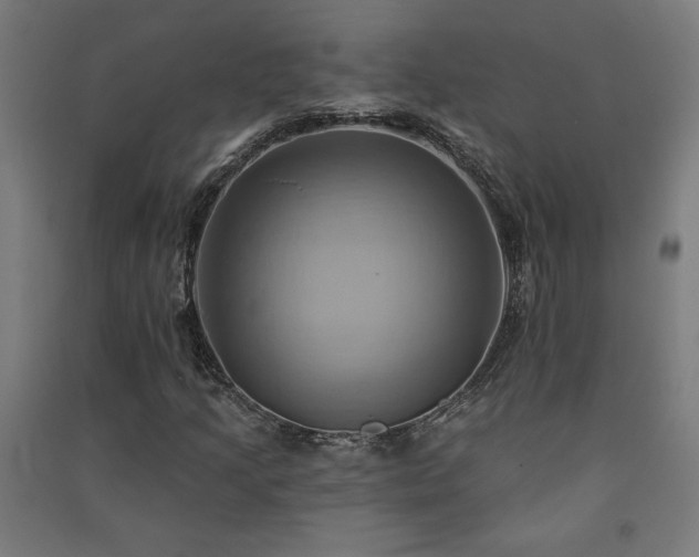 X0000091581205200708201200