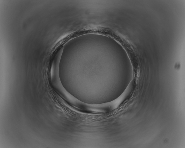 X0000091581206200708201200