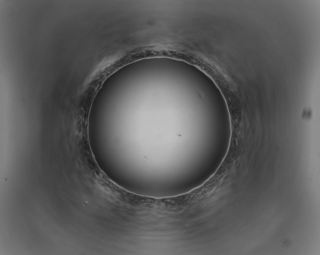 X0000091581207200708201200
