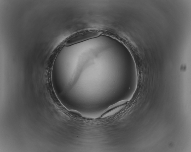 X0000091581208200708201200