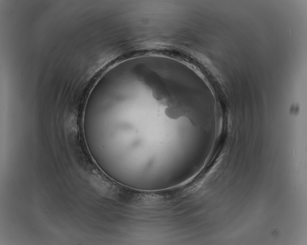 X0000091581209200708201200