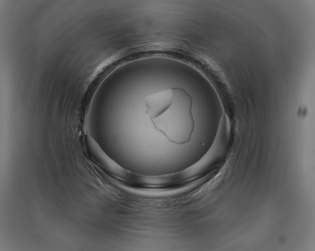 X0000091581210200708201200