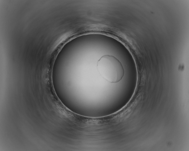 X0000091581211200708201200