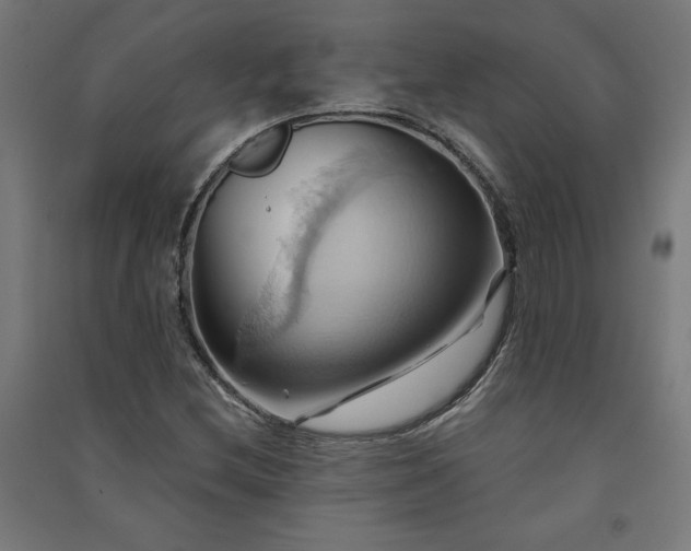 X0000091581212200708201200