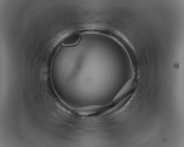 X0000091581213200708201200