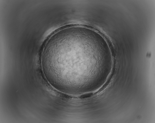X0000091581215200708201200