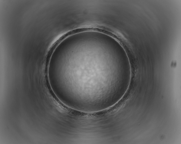 X0000091581216200708201200